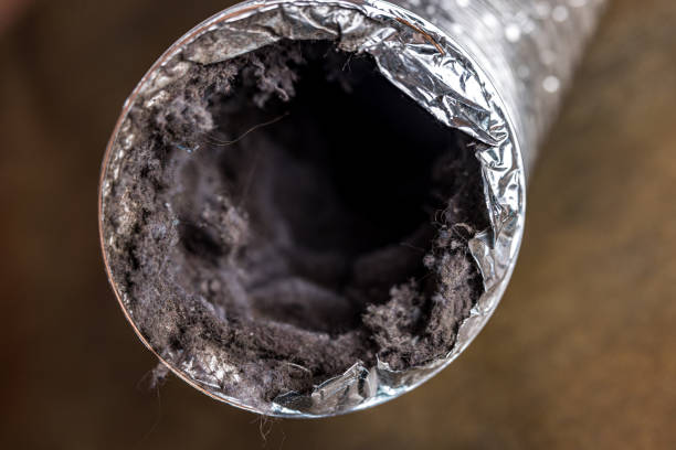 Best Local Air Duct Cleaning Services  in Bass Lake, IN